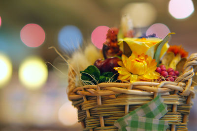 Close-up of flowering plants in basket