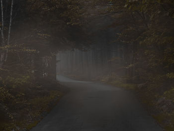 Road amidst trees in forest during a foggy sunset