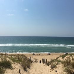 Scenic view of beach against clear sky