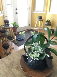 Close-up of potted plant on table at home