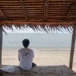 Rear view of man sitting on beach