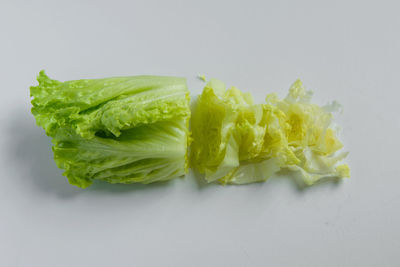 Close-up of fresh green leaf against white background