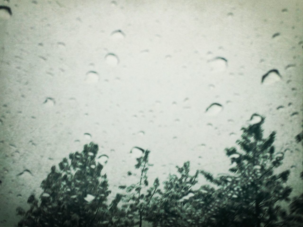 drop, wet, rain, water, window, raindrop, weather, transparent, season, glass - material, close-up, focus on foreground, monsoon, indoors, day, selective focus, water drop, no people, backgrounds, glass