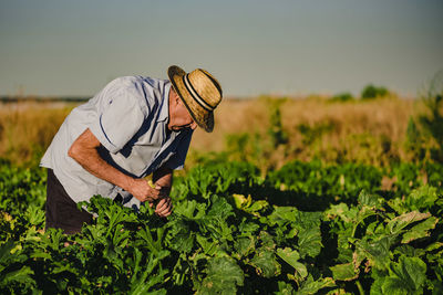 Man working on field