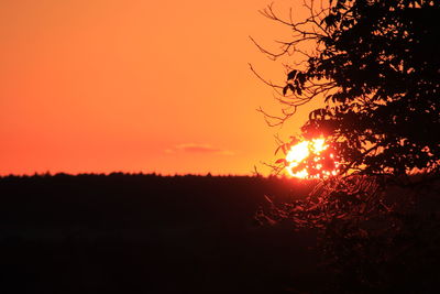 Scenic view of silhouette trees against sky during sunset