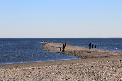 People on beach against clear sky