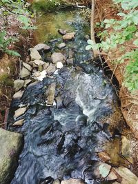 Water flowing through rocks