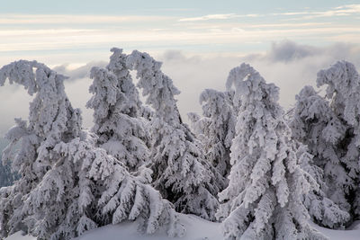 Scenic view of snow covered landscape against sky