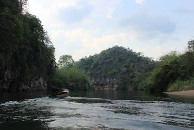 View of river in forest