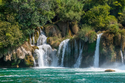 Scenic view of waterfall in forest