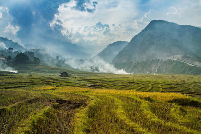 Scenic view of field against sky