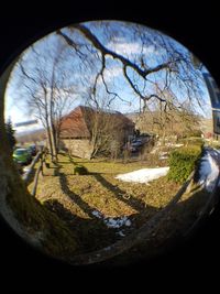 Reflection of bare trees in water