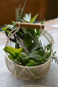 Close-up of plant in basket on table