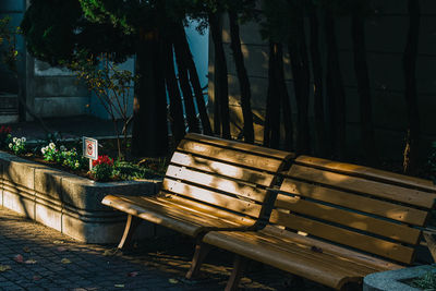 Empty bench in park