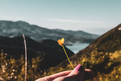 Close-up of hand holding flower against blurred background