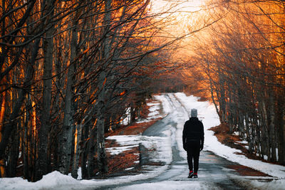 Rear view of person walking on snow covered forest road at sunset