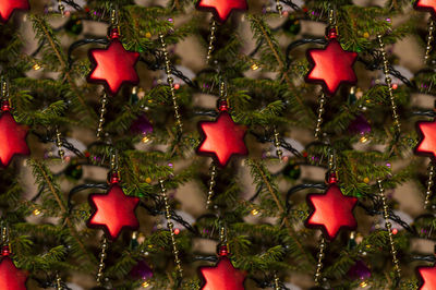 Close-up of christmas decoration hanging from tree
