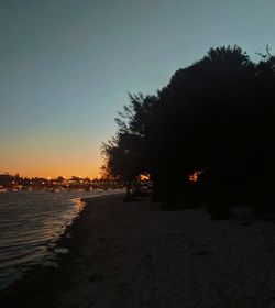 Silhouette trees by plants against clear sky during sunset