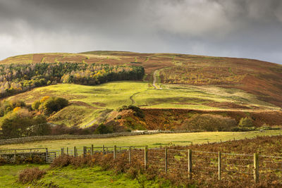 Scenic view of landscape against sky