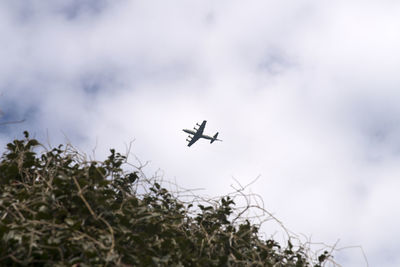 Low angle view of airplane flying against sky