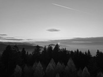 Scenic view of forest against sky