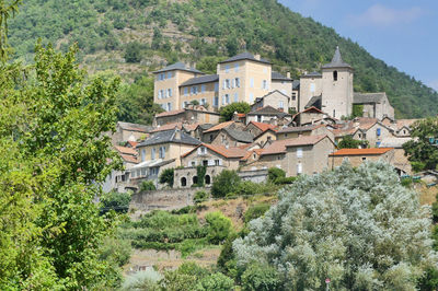 High angle view of houses by trees and plants