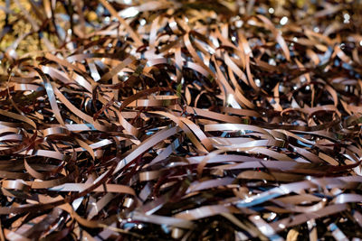 Full frame shot of dried leaves on field