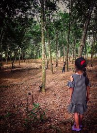 Rear view of woman walking in forest