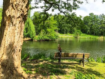 People sitting on bench at lakeshore