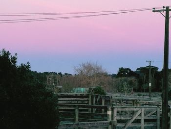 Silhouette of trees at sunset