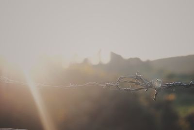 Close-up of barbed wire against sky