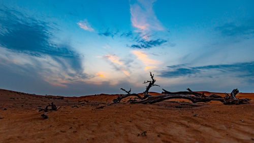 Scenic view of desert against sky