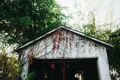Low angle view of built structure against trees