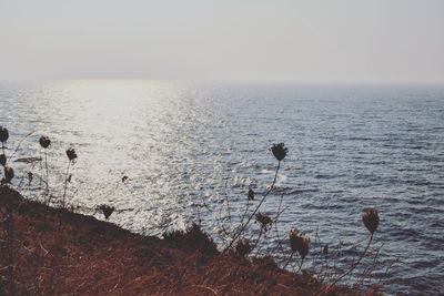 Scenic view of sea against clear sky