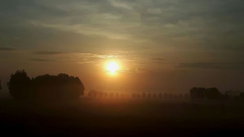 Silhouette trees on landscape against sky during sunset