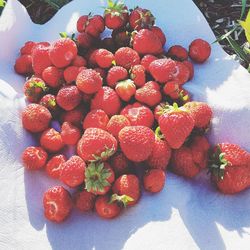 High angle view of strawberries on table