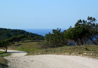 Scenic view of landscape against clear sky