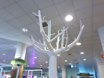 Low angle view of illuminated lighting equipment hanging on ceiling in building