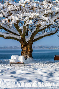 Fantastic snowy landscape on lake constance with blue sky and lots of snow