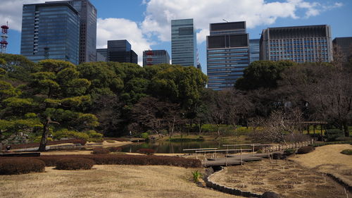 Trees and buildings in city against sky