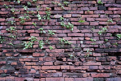 Full frame shot of old wall