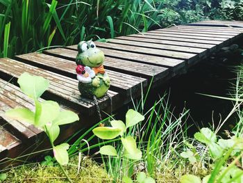 High angle view of bird perching on wood in lake
