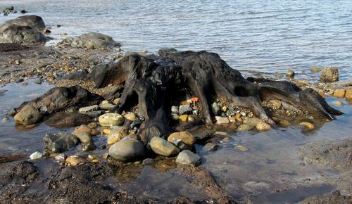 Rocks on beach