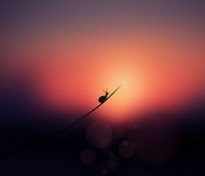 Low angle view of sky at sunset
