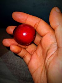 Close-up of hand holding tomatoes