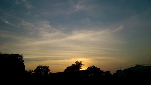 Silhouette of trees at sunset