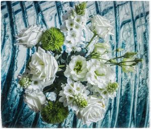 Close-up of white flowering plants