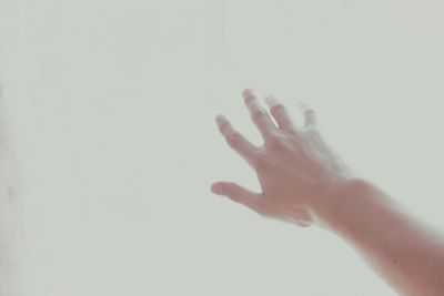 Cropped image of hand holding over white background