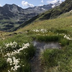 Scenic view of landscape and mountains