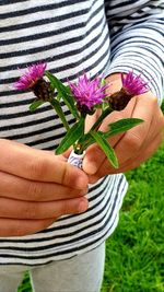 Close-up of hand holding purple flowering plant